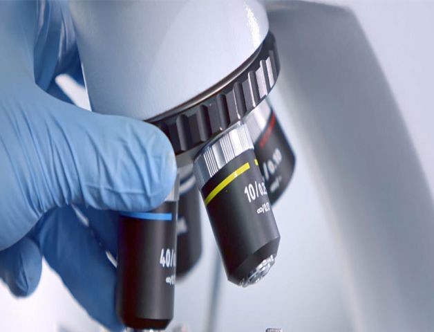 Hoogste R&D-Capaciteit